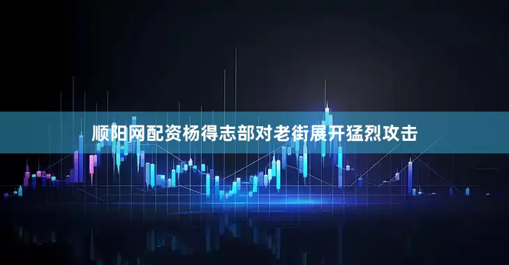 顺阳网配资杨得志部对老街展开猛烈攻击