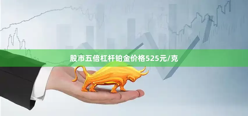 股市五倍杠杆铂金价格525元/克