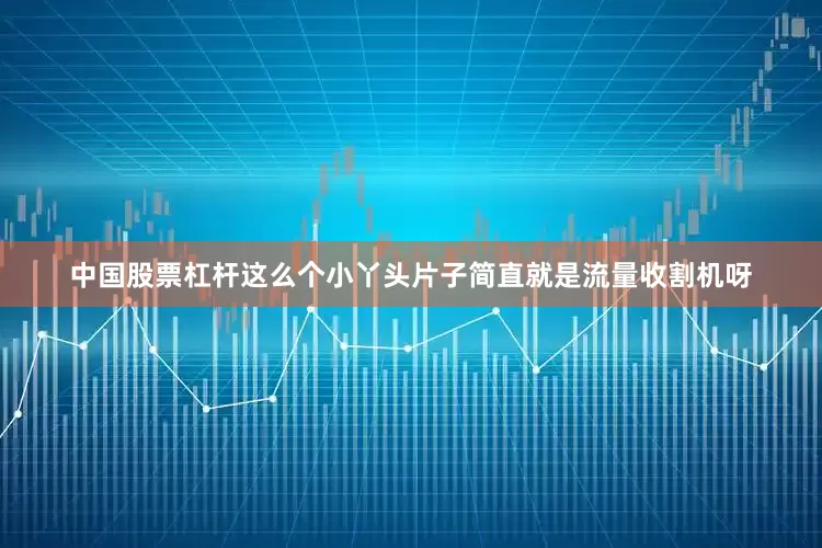 中国股票杠杆这么个小丫头片子简直就是流量收割机呀