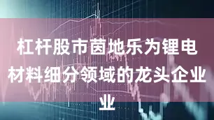 杠杆股市茵地乐为锂电材料细分领域的龙头企业