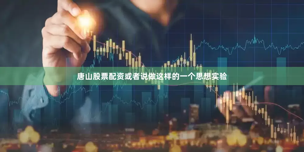 唐山股票配资或者说做这样的一个思想实验