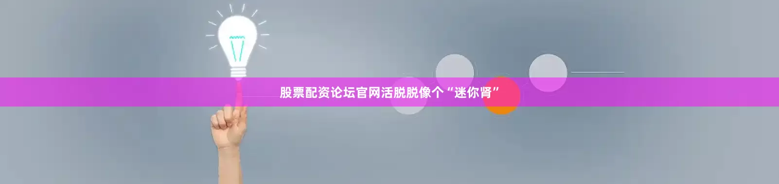 股票配资论坛官网活脱脱像个“迷你肾”