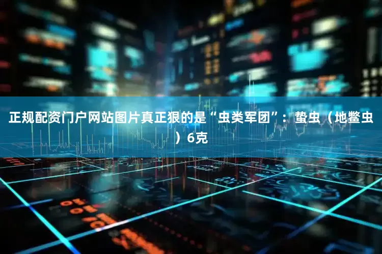 正规配资门户网站图片真正狠的是“虫类军团”：蛰虫（地鳖虫）6克