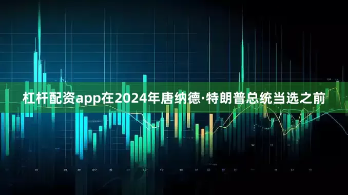 杠杆配资app在2024年唐纳德·特朗普总统当选之前
