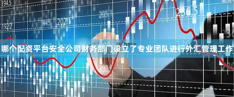 哪个配资平台安全公司财务部门设立了专业团队进行外汇管理工作
